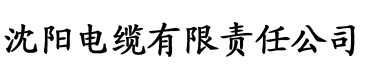 精品丝袜国产自在线拍电缆厂logo